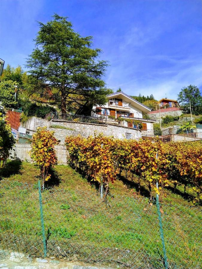 Appartamenti Bioula Cir Aosta N 0247 Екстер'єр фото